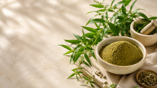 Kalmegh Powder Benefits: Liver, Immunity & Detox
